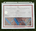 Load image into Gallery viewer, Scotty Cameron 009 Masterful Blue Pearl SSS 350G Circle T Putter
